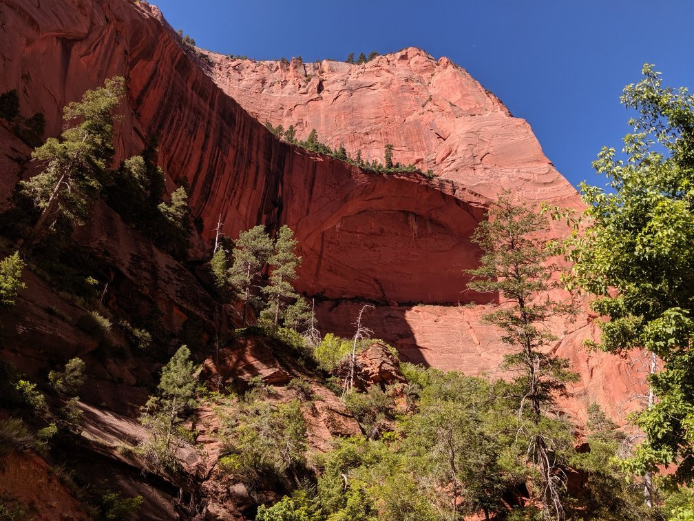 Taylor Creek-锡安国家公园必去景点