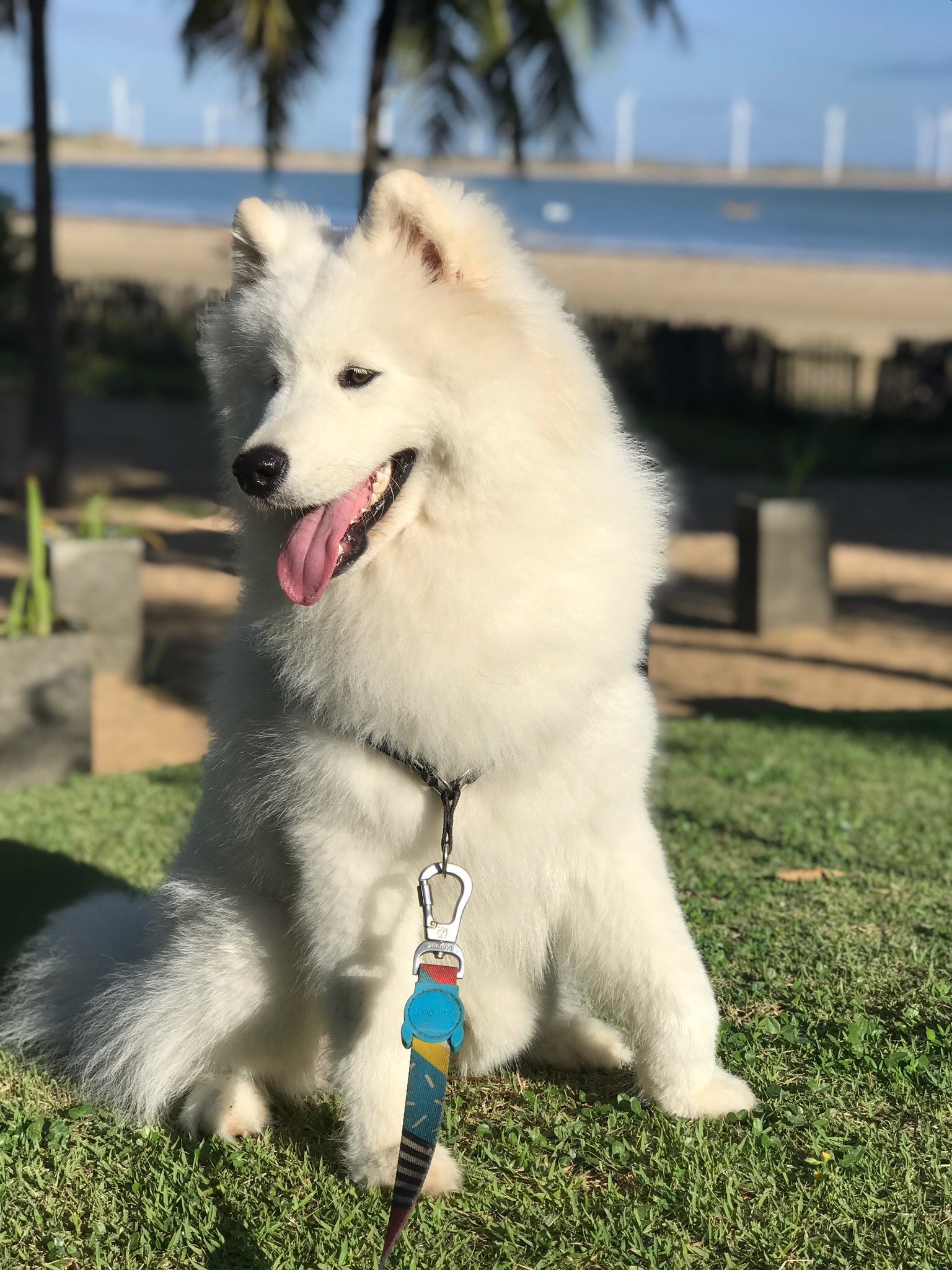 Pousada Les Alizes-官方