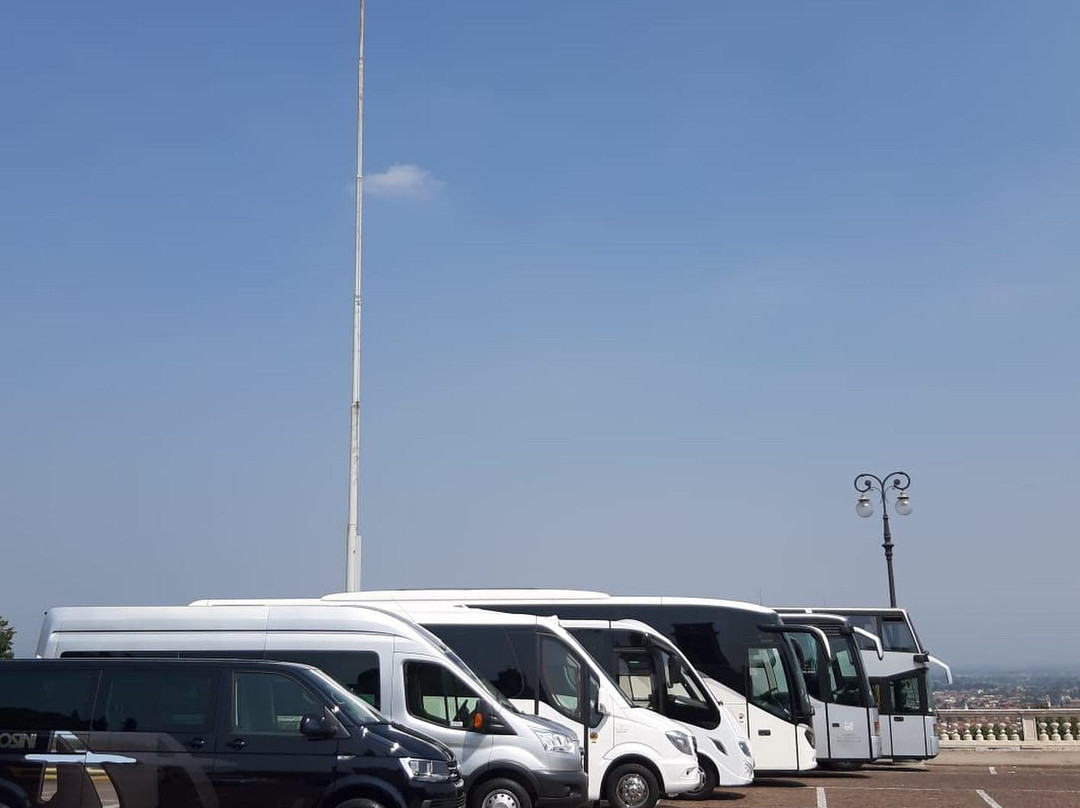 Ambrosini Autoservizi-维琴查必去景点