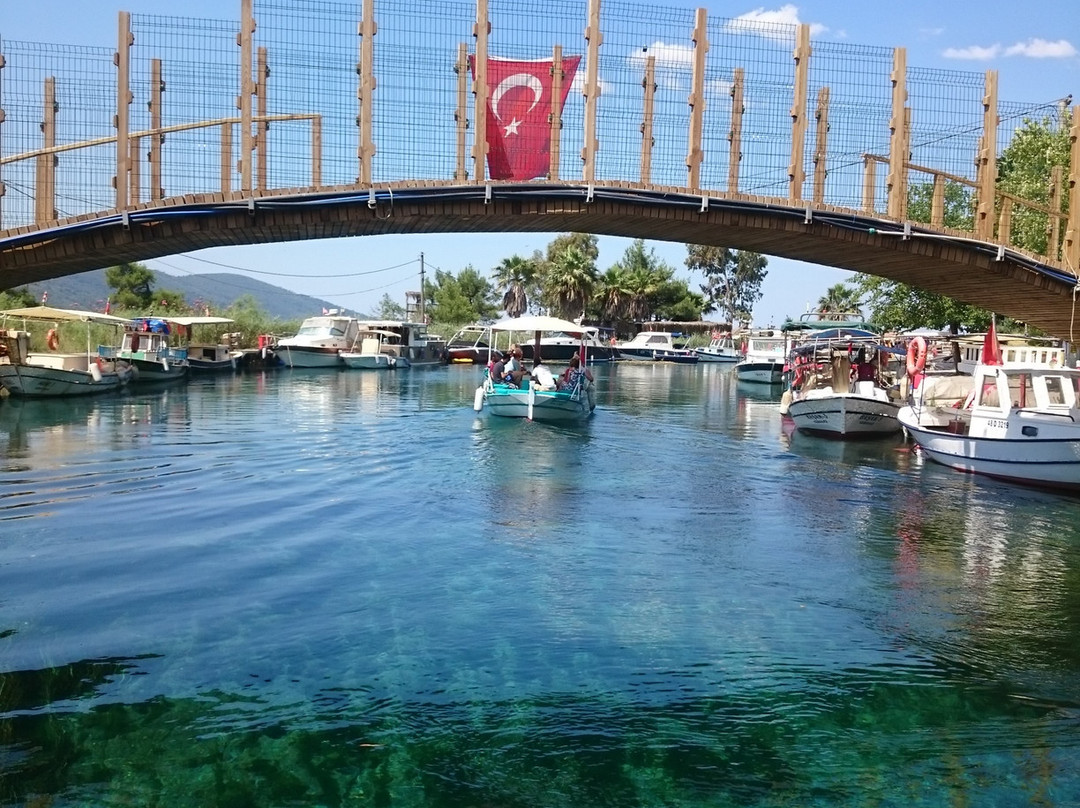 Akyaka River Romp景点图片