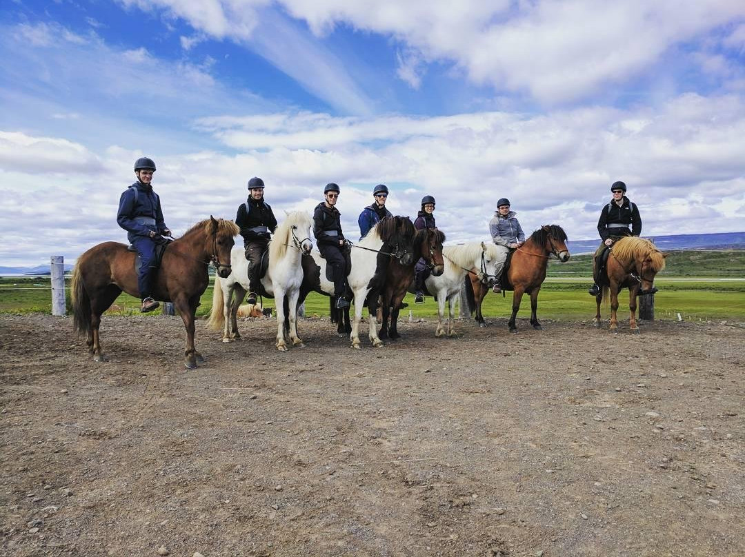 Galdrahestar Riding Tours景点图片