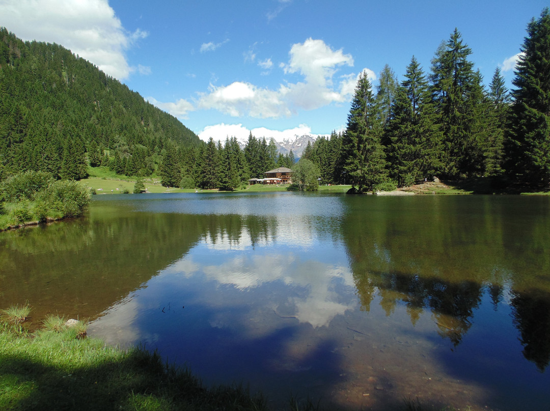 Lago dei Caprioli景点图片