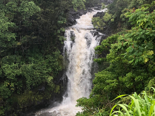 Botanical World Adventures-凯鲁瓦-柯纳必去景点