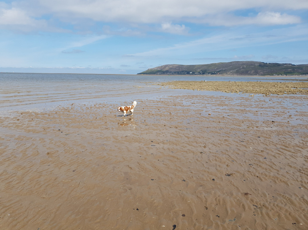 Conwy Morfa Beach景点图片