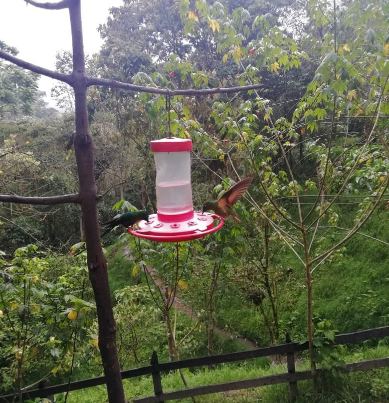 Reserva Natural Acaime-萨伦托必去景点