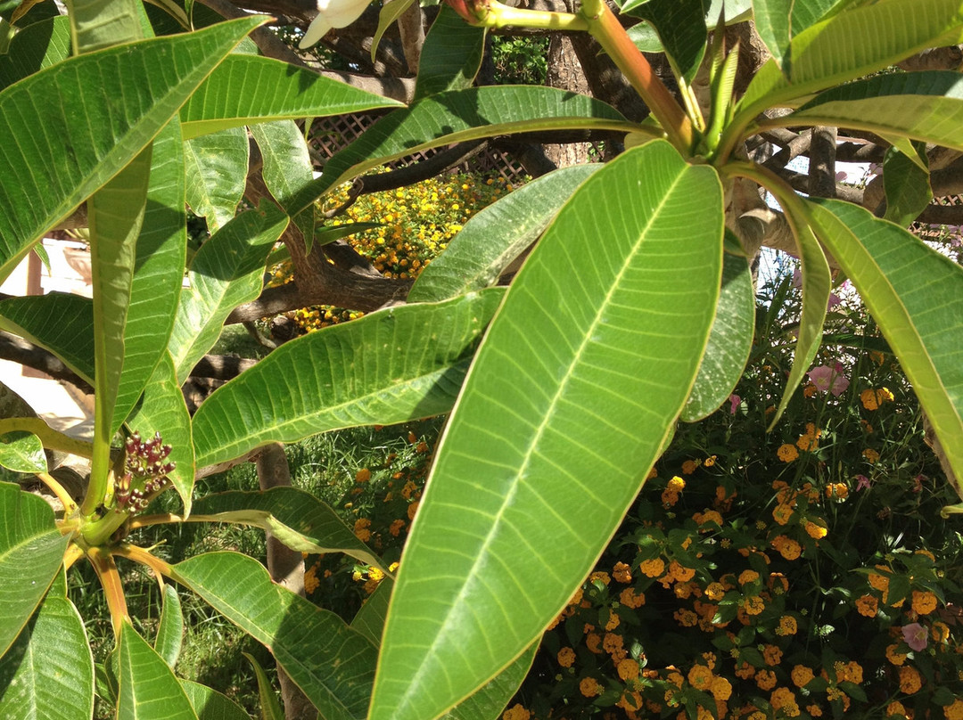 Hotel Kissamos主图