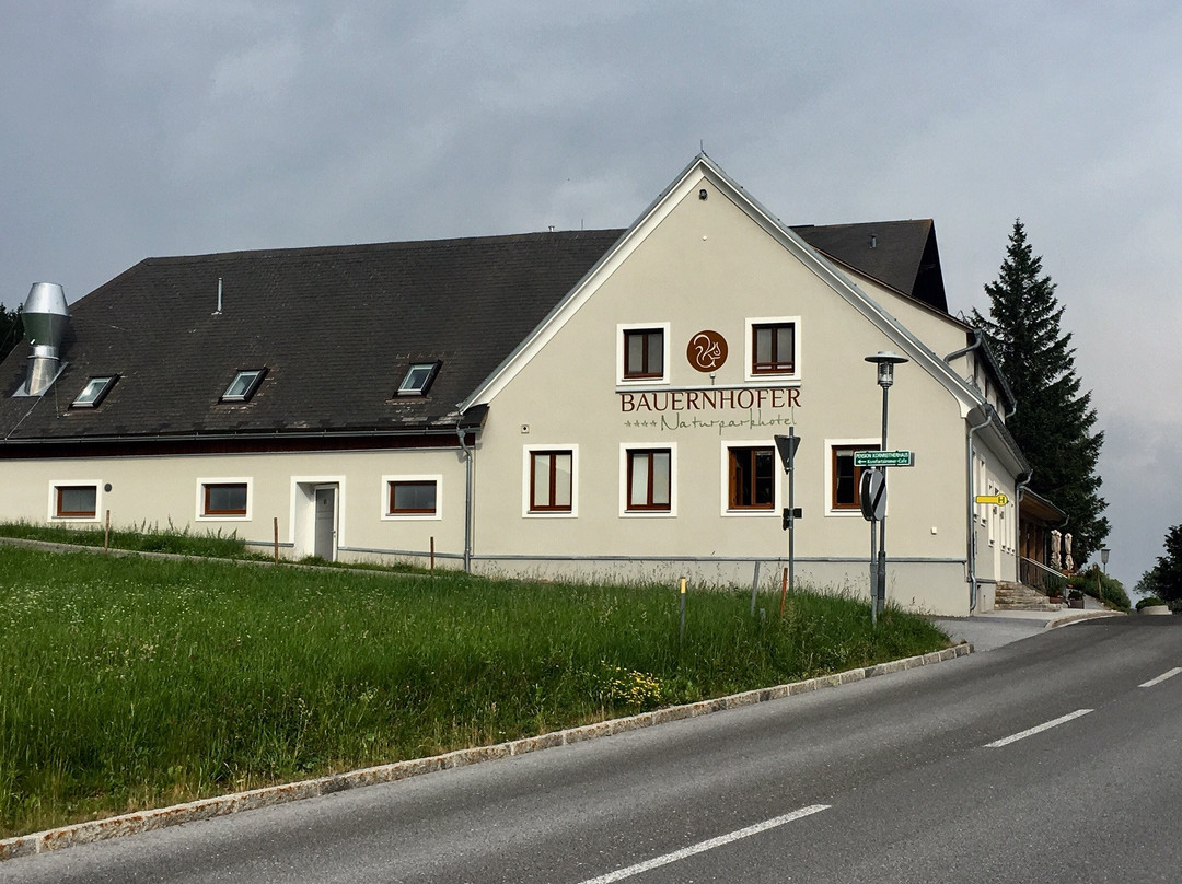 Naturhotel Bauernhofer主图