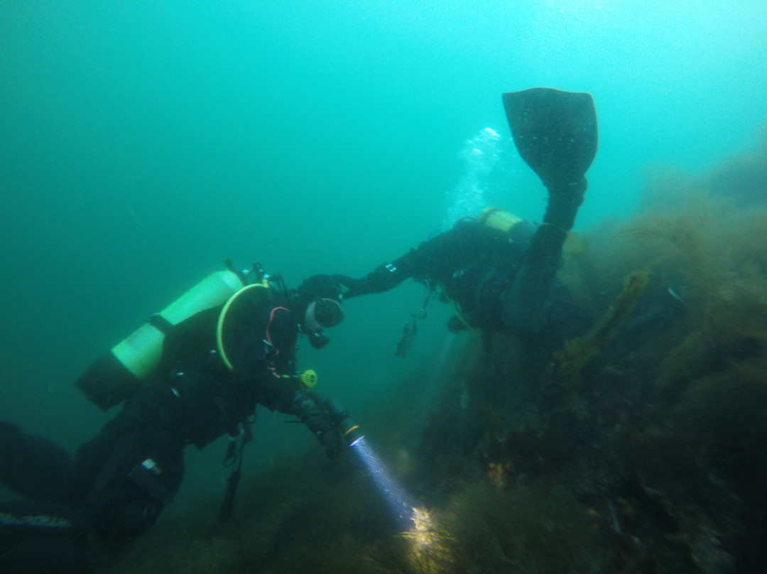 Saltstraumen Dykkecamp景点图片