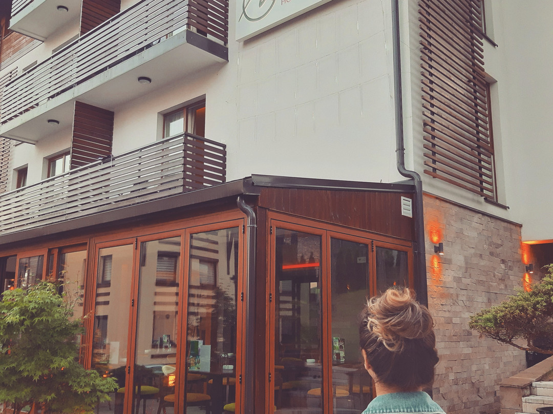 Mons Zlatibor Hotel & Apartments主图