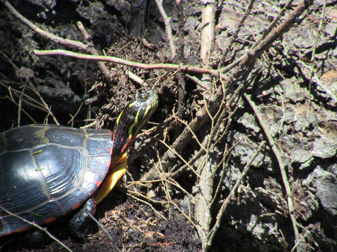 North Hartland Lake-North Hartland必去景点