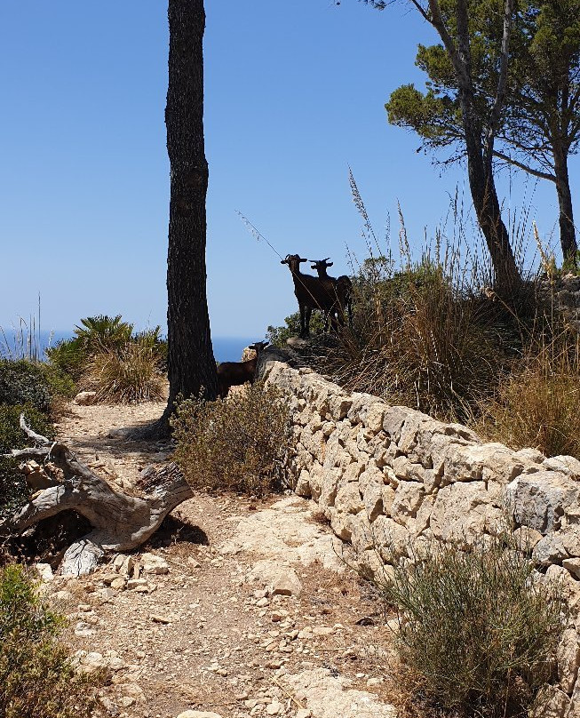 Ruina La Trapa-Sant Elm必去景点