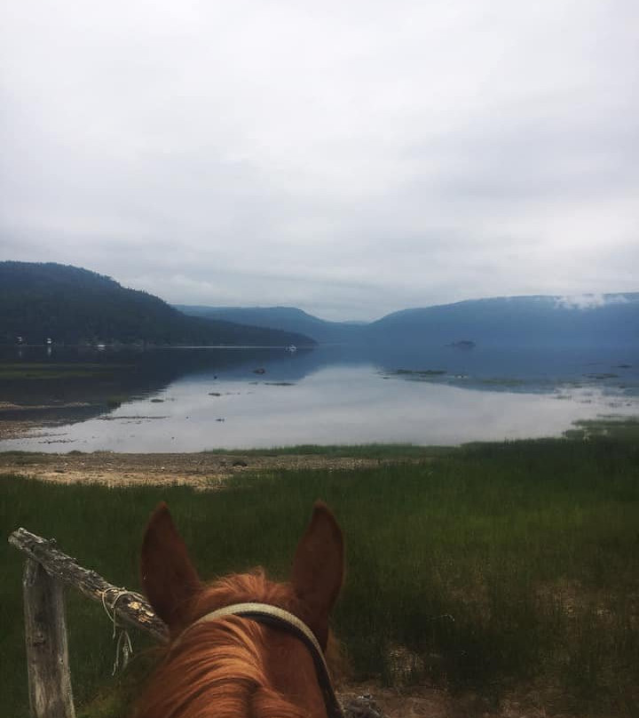Centre Equestre des Plateaux景点图片