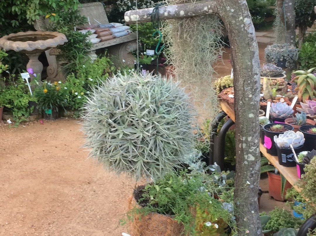 Heidelberg kwekery-Heidelberg必去景点