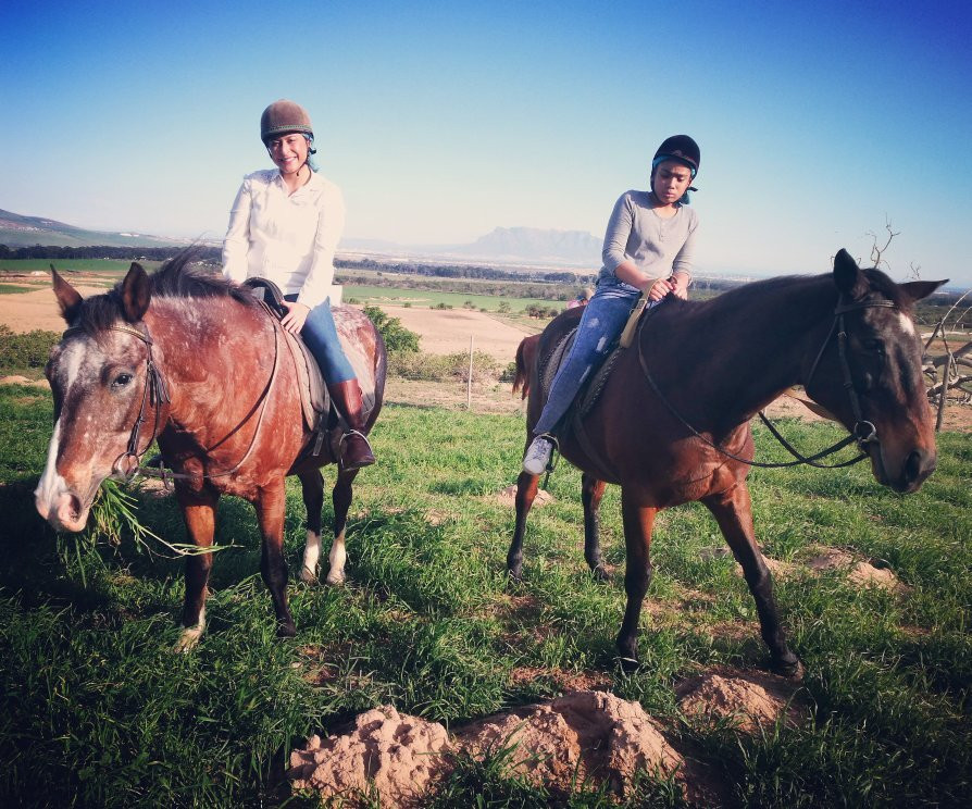 Mountain View Horse Trails-开普敦中心区必去景点