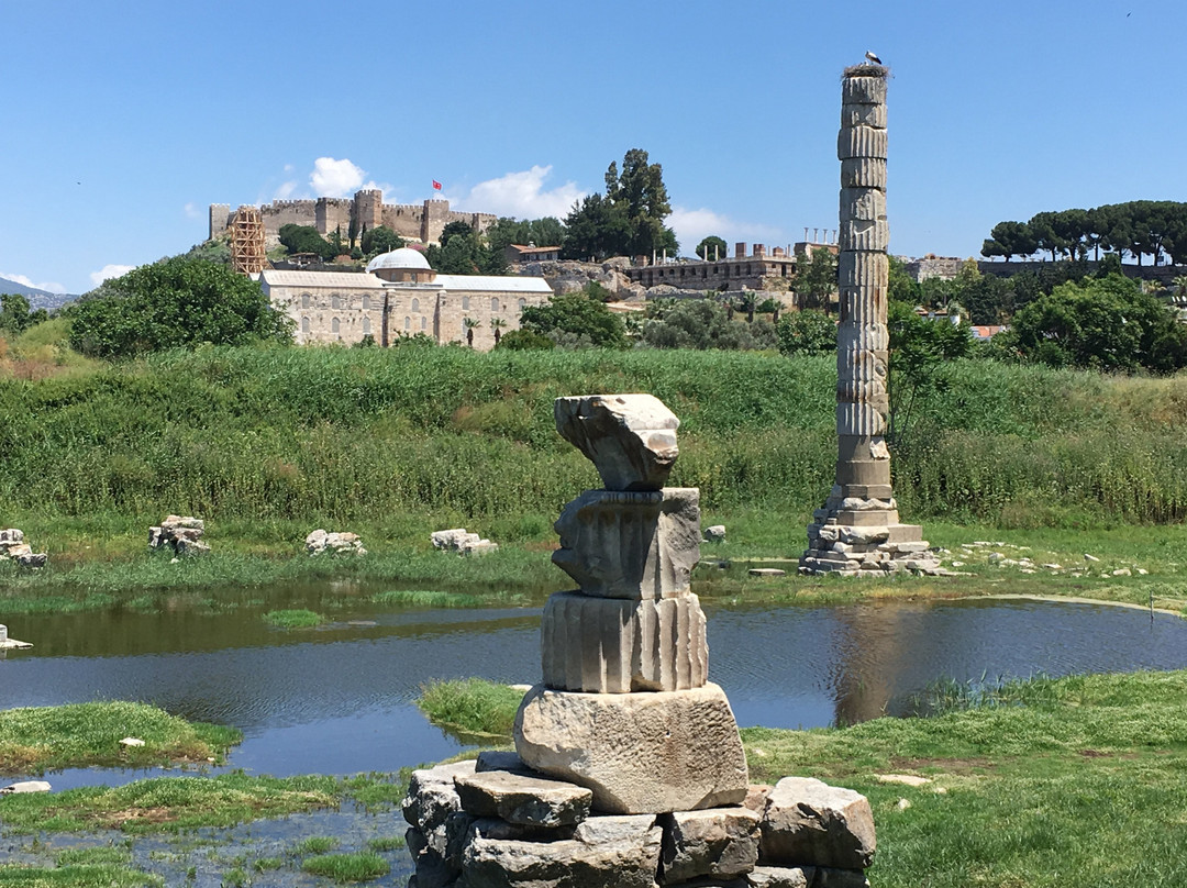 The Temple of Artemis景点图片