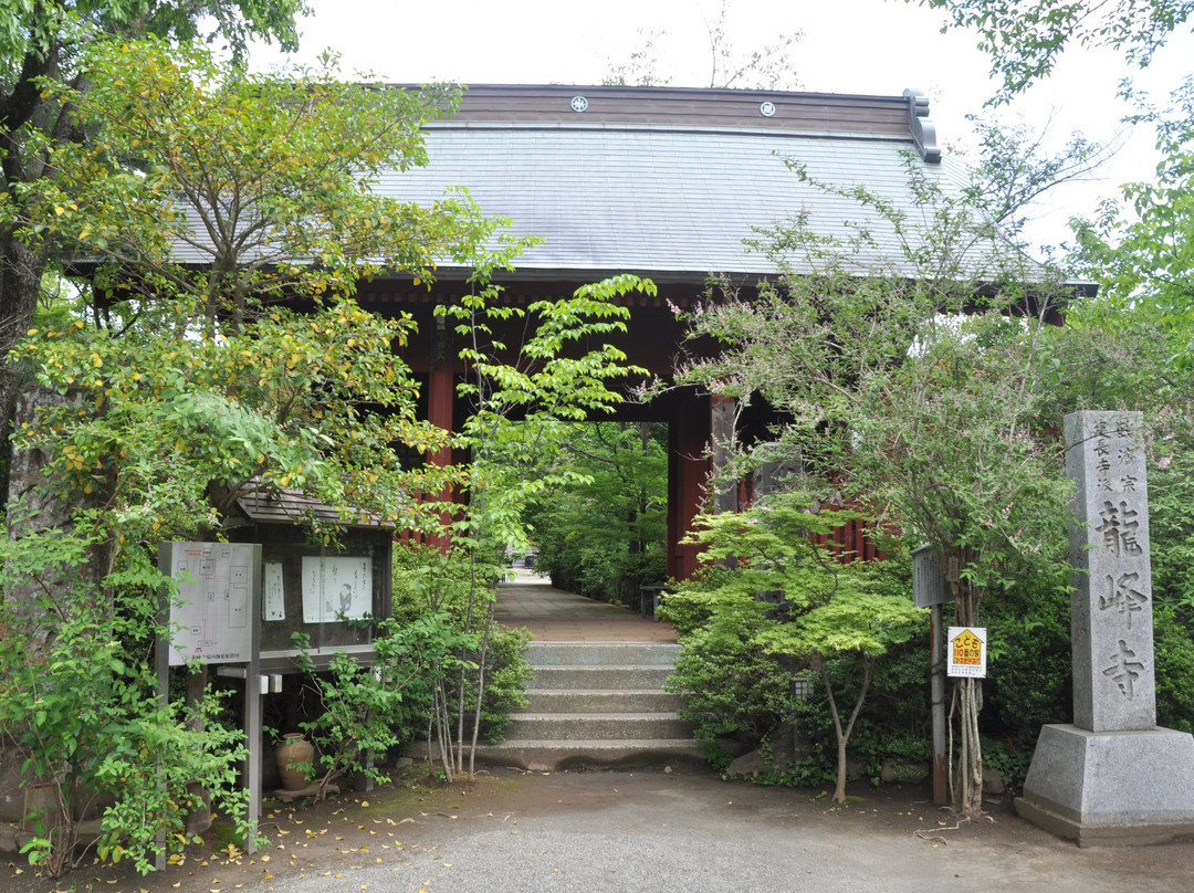 Ryuho-ji Temple景点图片