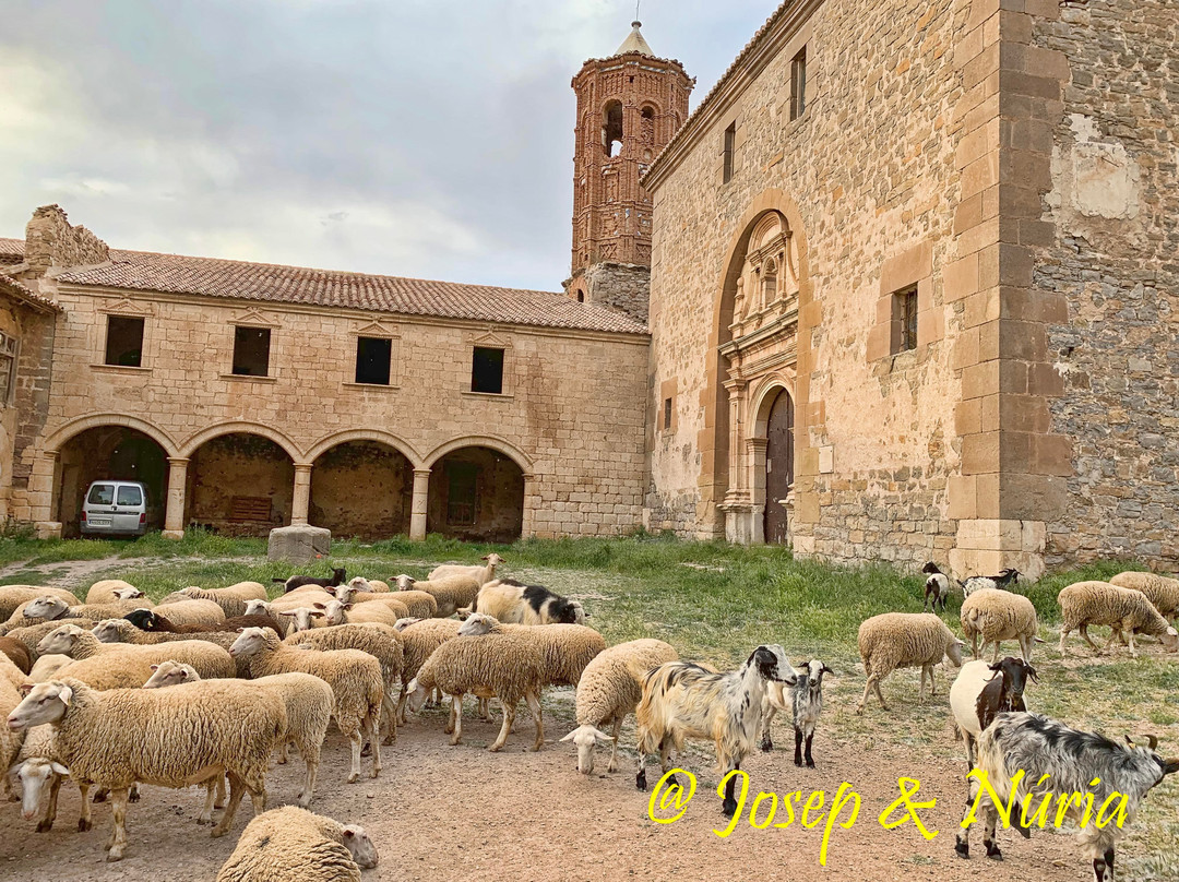 Santuario de la Virgen del Campo