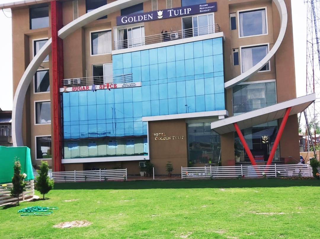 Golden Tulip Kashmir主图