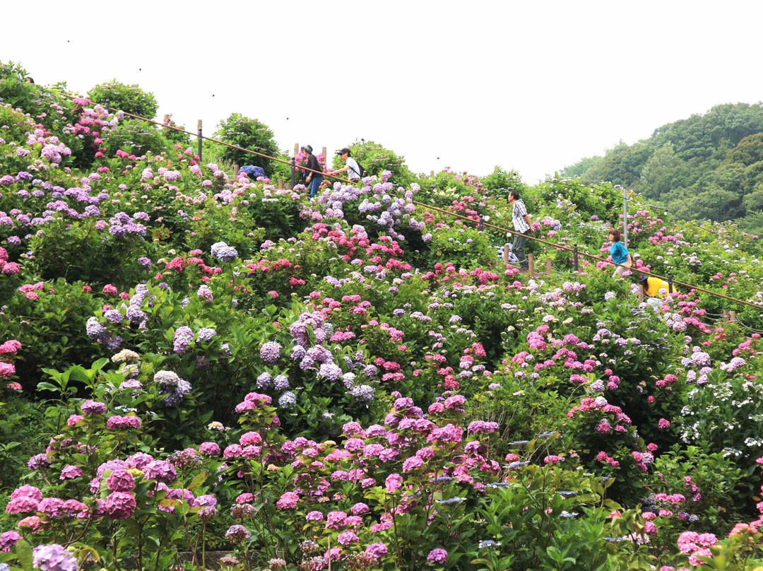 Katahara Tourist Association-蒲郡港必去景点