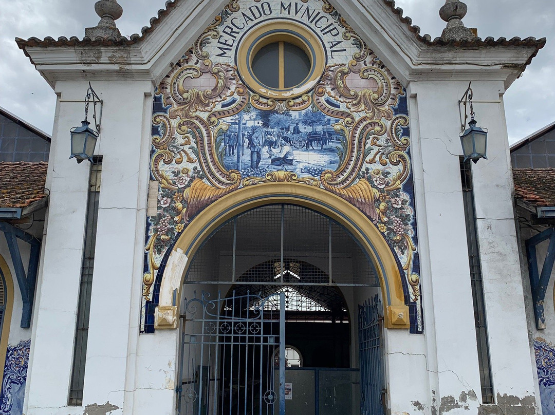 Mercado Municipal de Santarém景点图片