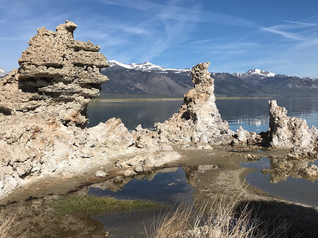 Mono Lake Vista Point-利韦宁必去景点