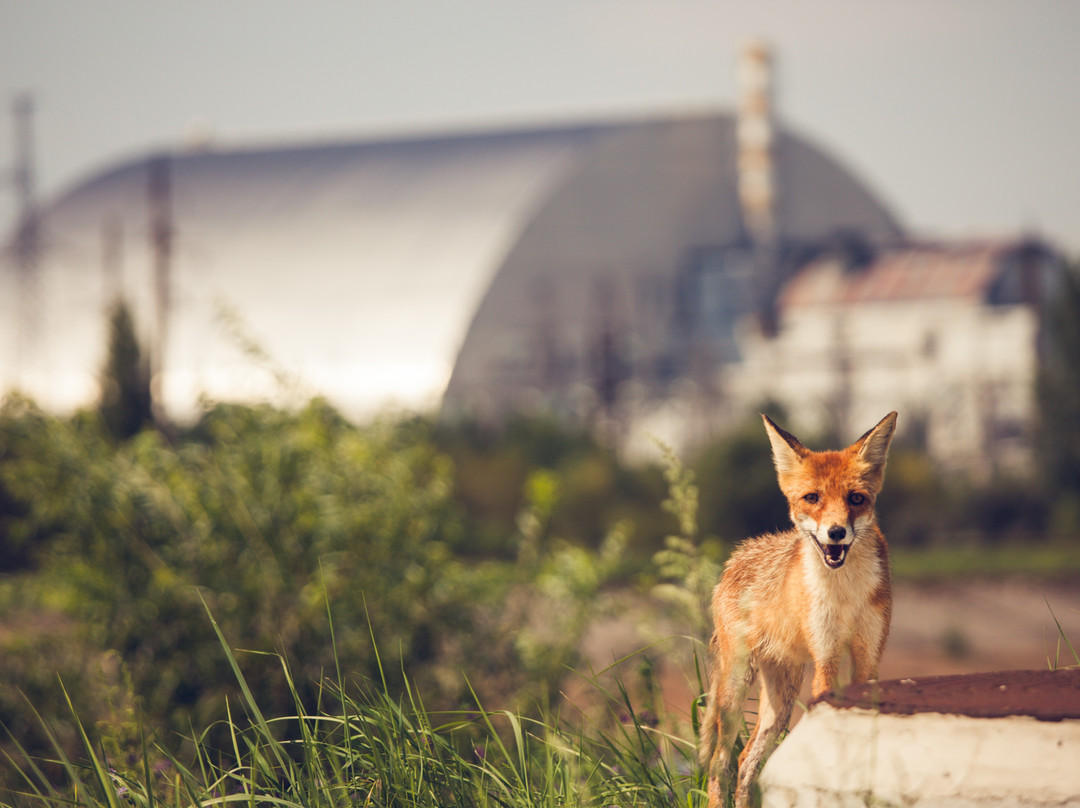 Chernobyl Exclusive Tours-基辅必去景点