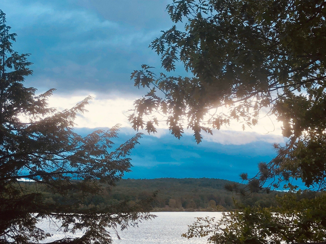 Lazy E Motor Inn主图