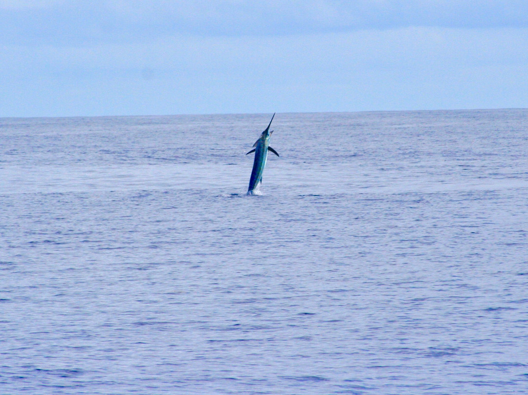 OVERPROOF Charter Fishing-Somerset Village必去景点