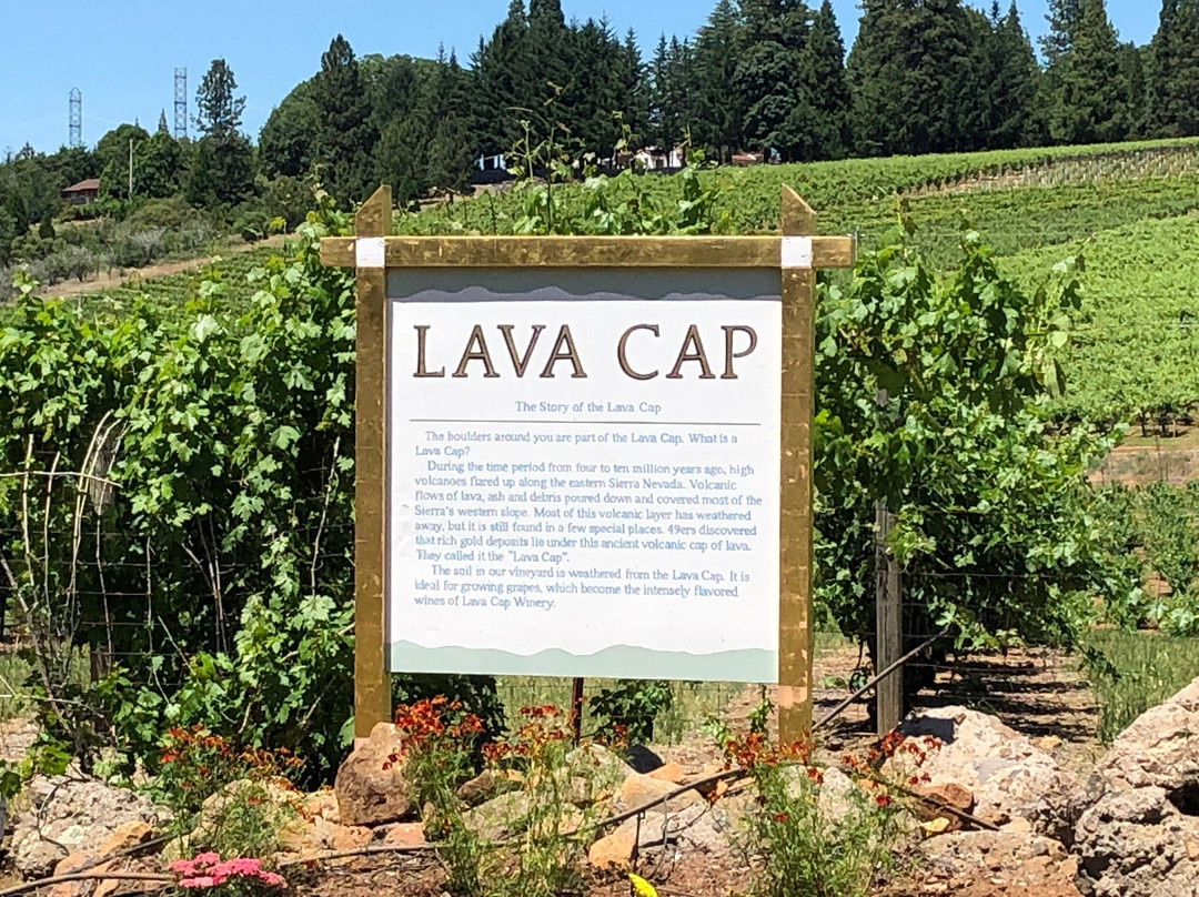 Lava Cap Winery-普莱瑟维尔必去景点