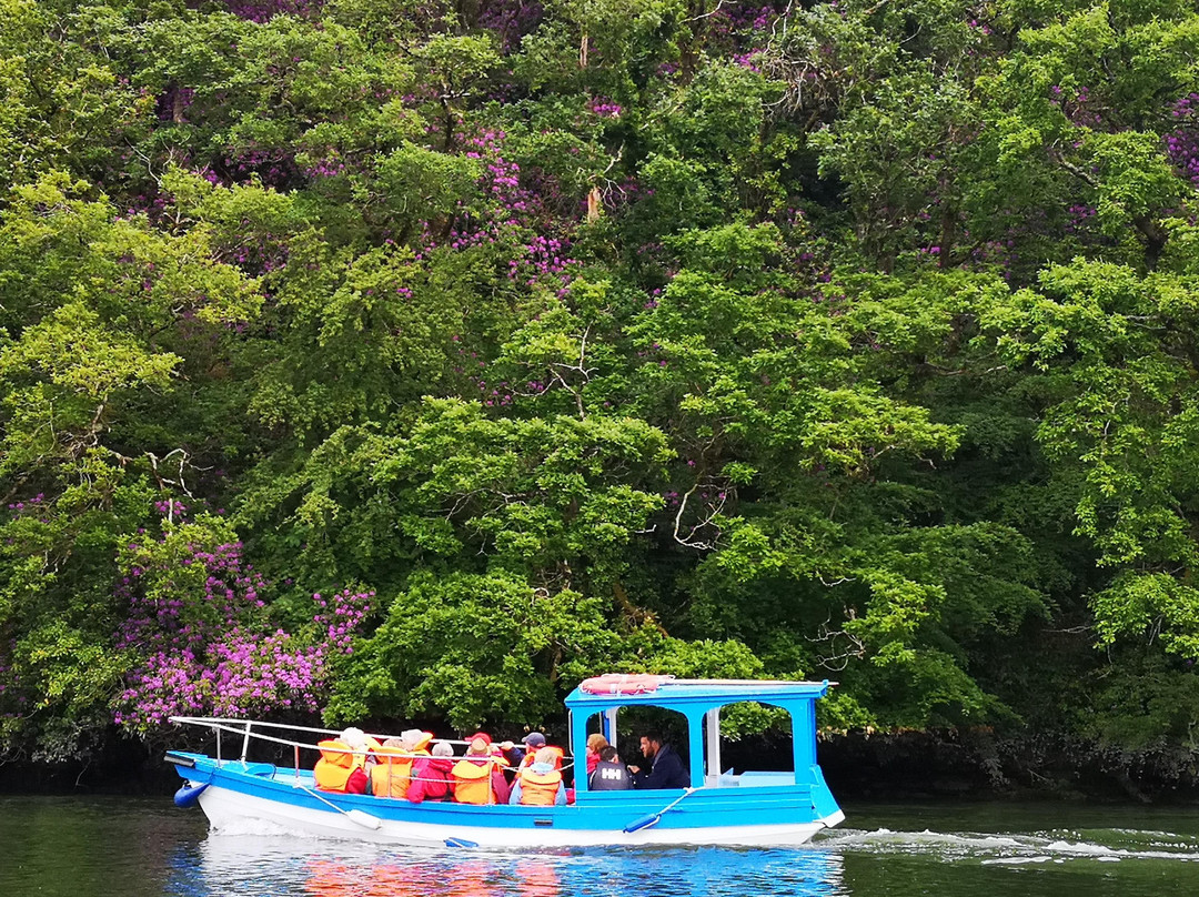 Waterford Camino Tours-沃特福德必去景点