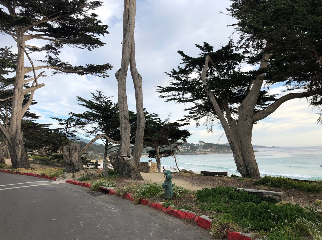 Carmel Beach Boardwalk景点图片