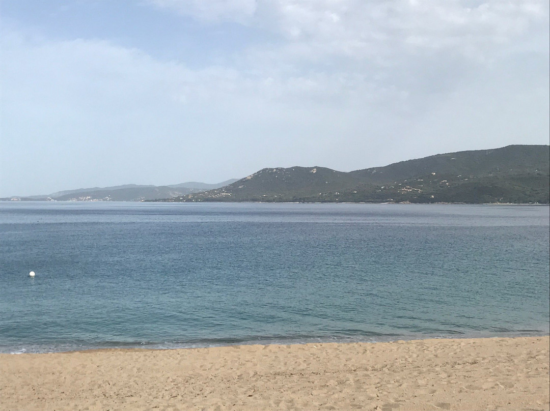 Beach Hotel主图
