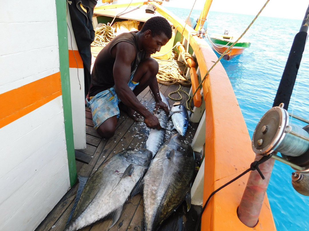Nofy-Be Sailing & Diving Madagascar景点图片