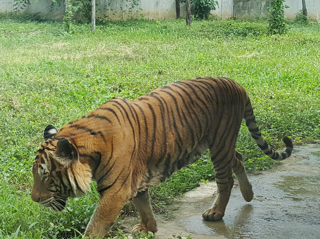 Langkawi Nature Park-Kampung Belanga Pechah必去景点