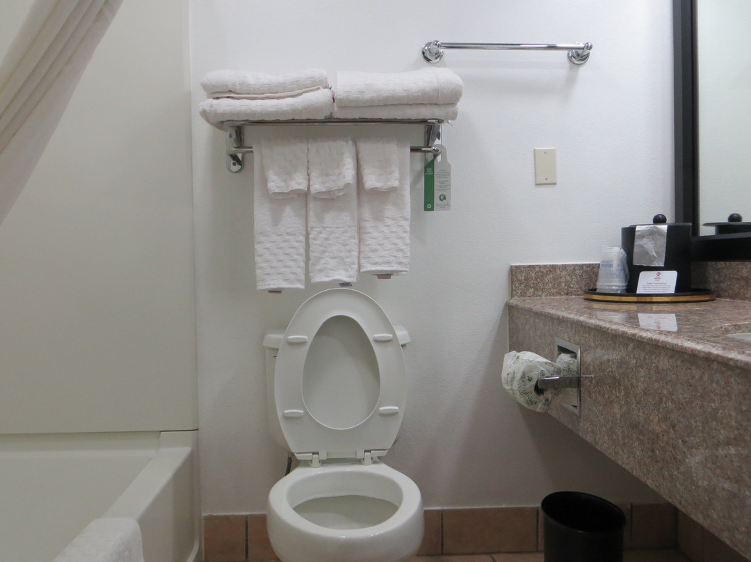 Lubbock Windsor Inn主图