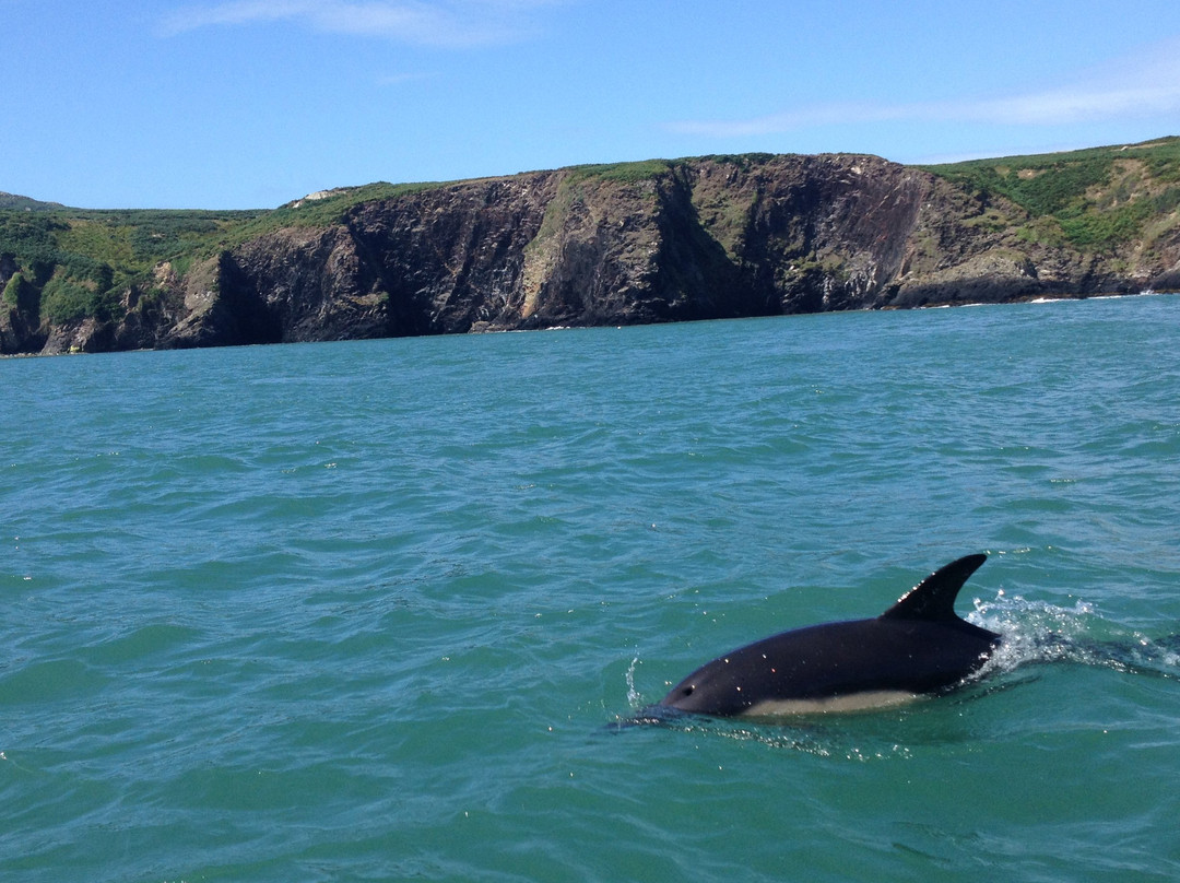 Aquaphobia Ramsey Island Power Boats-St. Davids必去景点