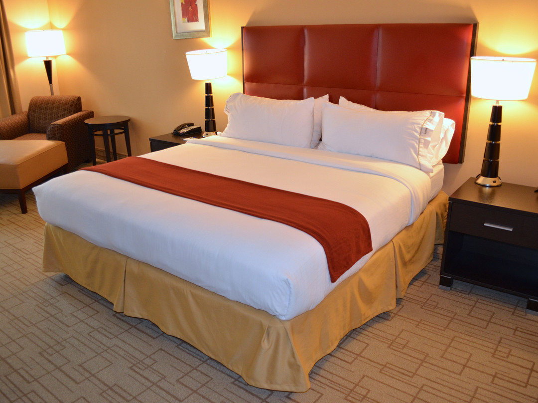 智选假日套房酒店士美非路主图