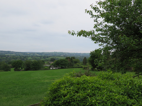 舍本阿姆斯酒店主图