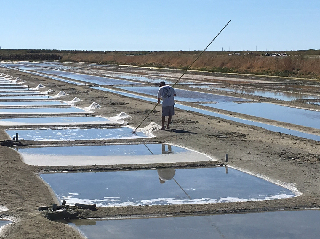 Visites Guidees Privees-拉罗谢尔必去景点