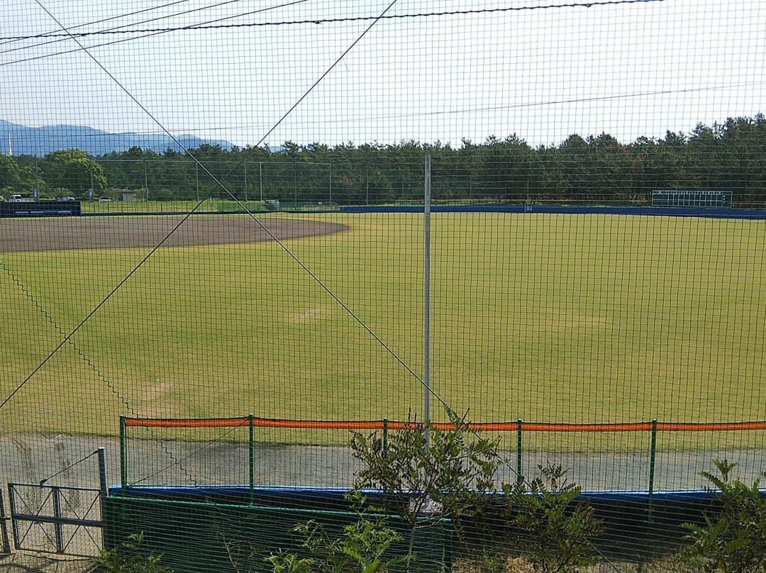 Tosa Seinan Daikibo Park Wampaku Hiroba景点图片