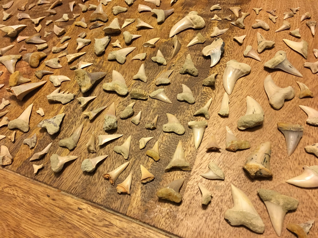 Ernst Quarries-贝克斯菲尔德必去景点