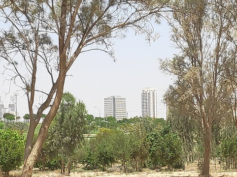 Mitzpe Beit Eshel-贝尔谢巴必去景点