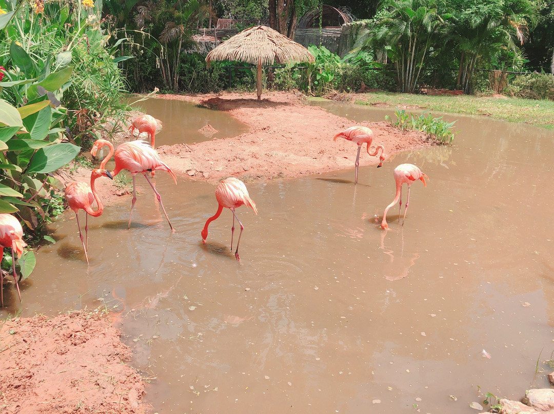 Nakhon Ratchasima Zoo景点图片