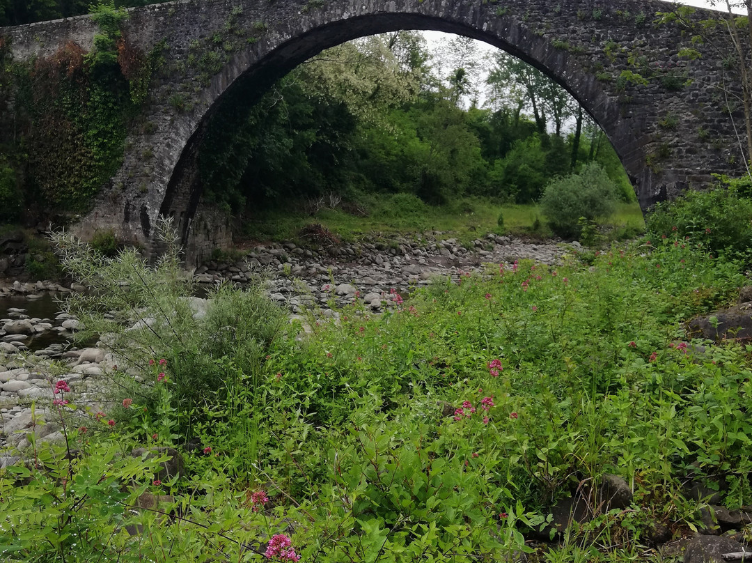 Ponte Di Castruccio景点图片
