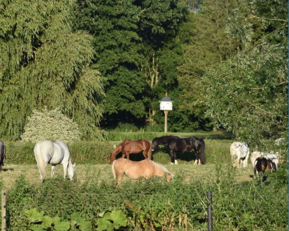 Valley Farm Equestrian Leisure景点图片