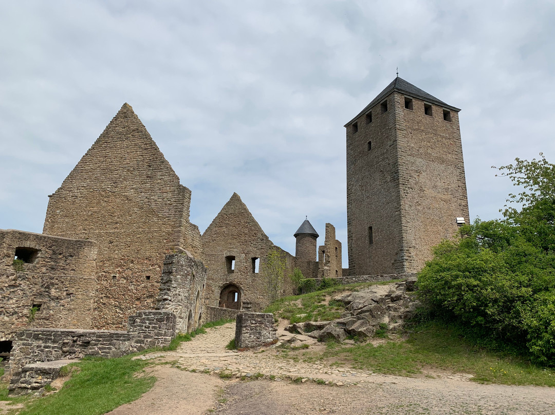 Burg Lichtenberg景点图片