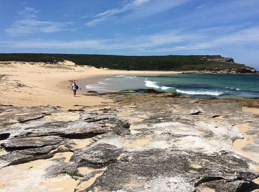 Cronulla Whale Watching景点图片