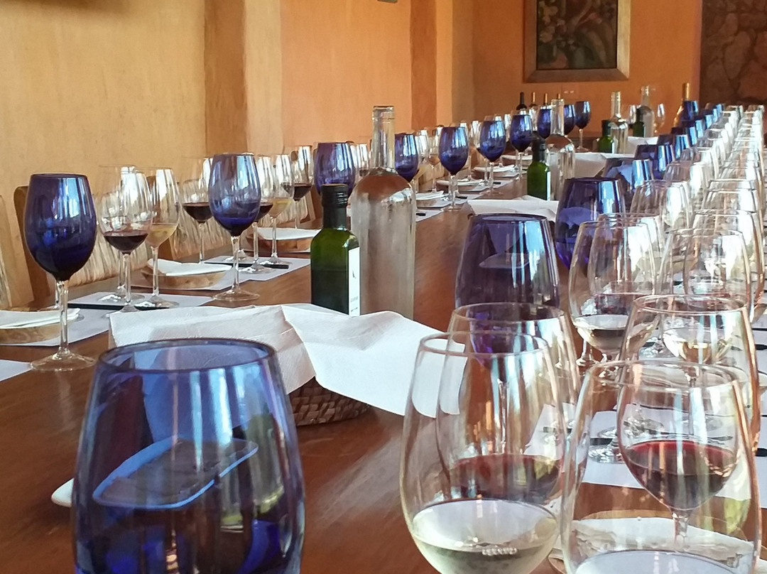 Vinícola Guaspari-Espirito Santo Do Pinhal必去景点