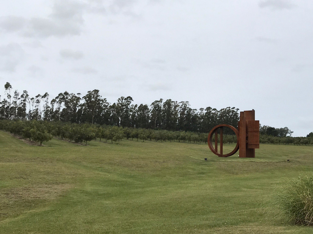 Jose Ignacio Bodega Oceanica-Jose Ignacio必去景点