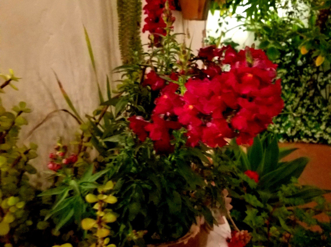 西班牙花园酒店主图